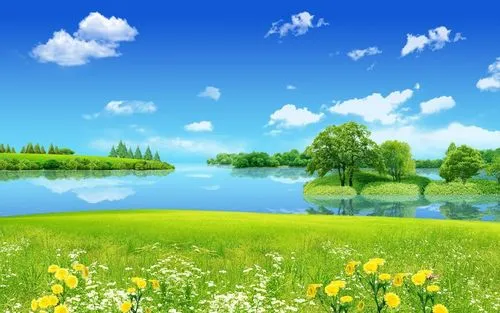 数字化网络化信息化
